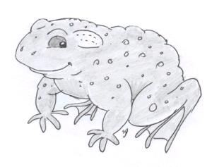 Clancy was the stopcock toad - 10kb