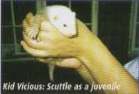 Kid Vicious: Scuttle as a juvenile - 4Kb