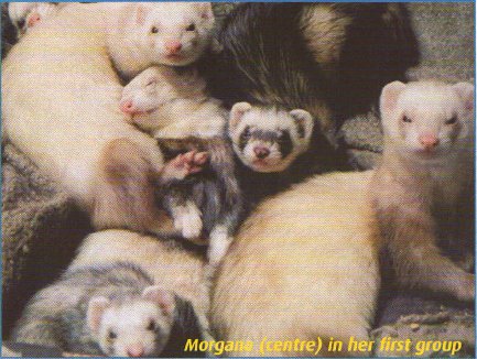 Morgana (centre) with her first group