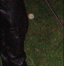 Close up of 'orb' near Ann's knee - 11kb