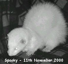 Spooky on 11th November 2000